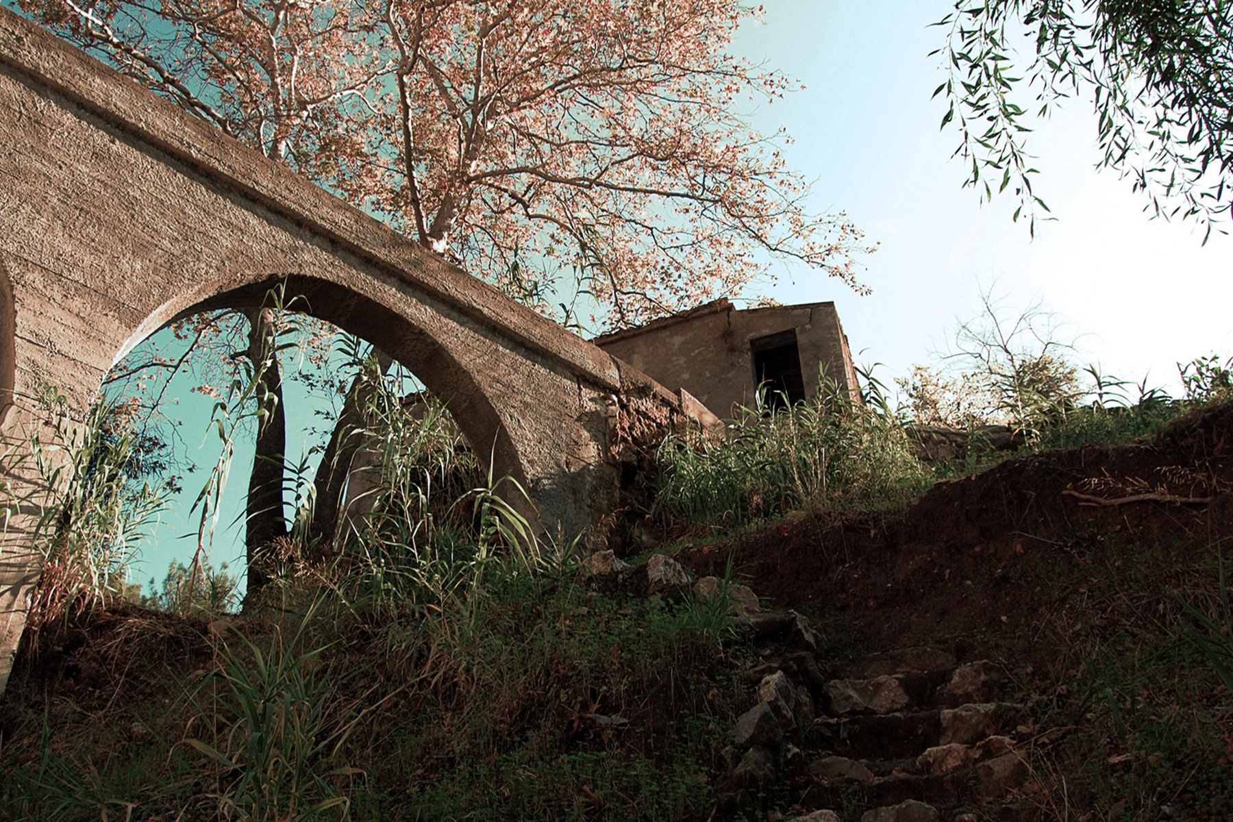 Backgrounds002