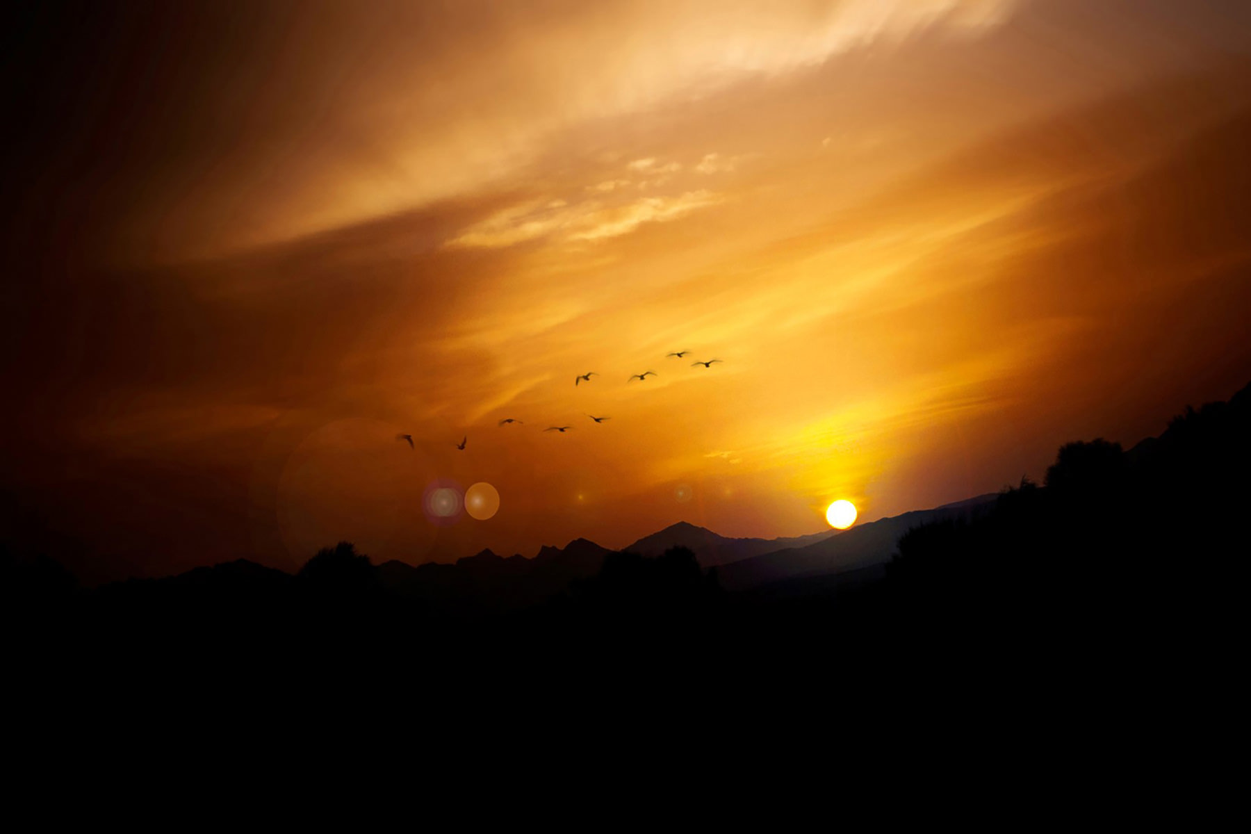 Backgrounds085