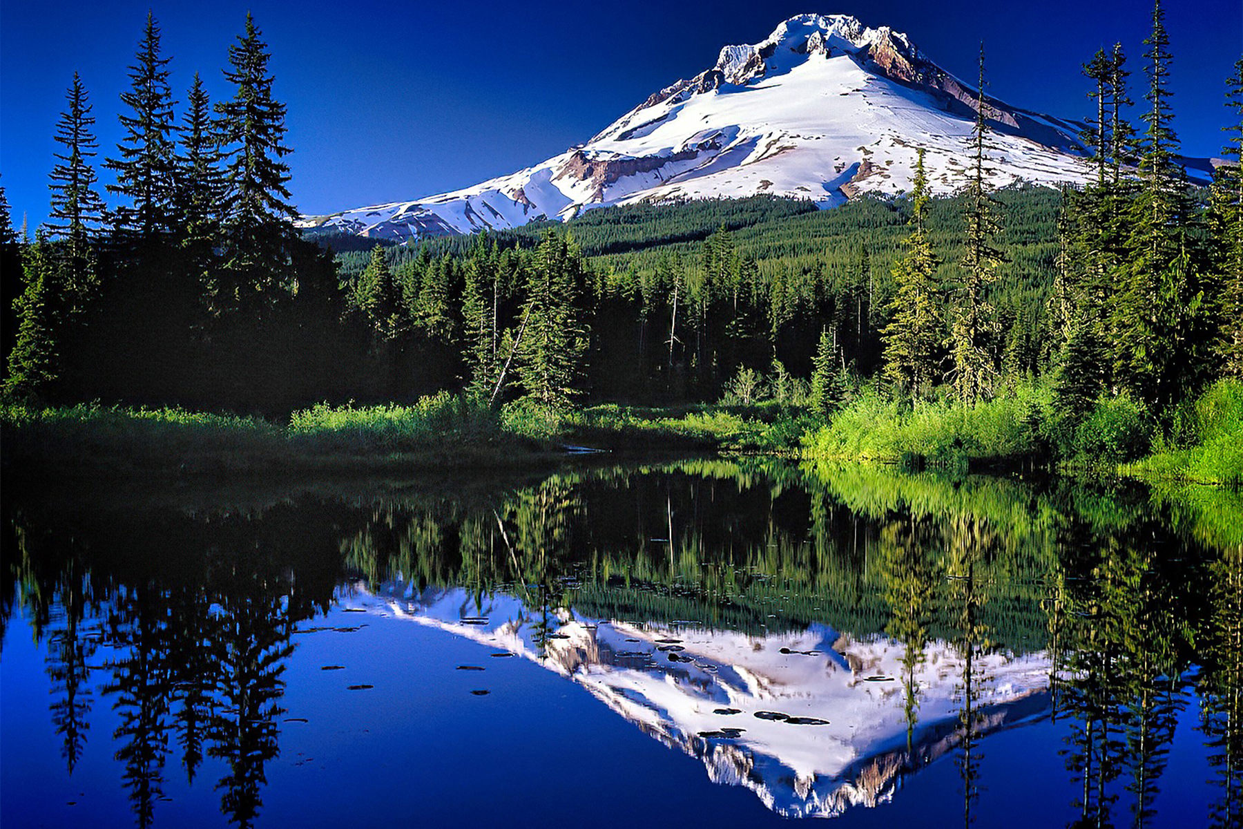 Backgrounds245