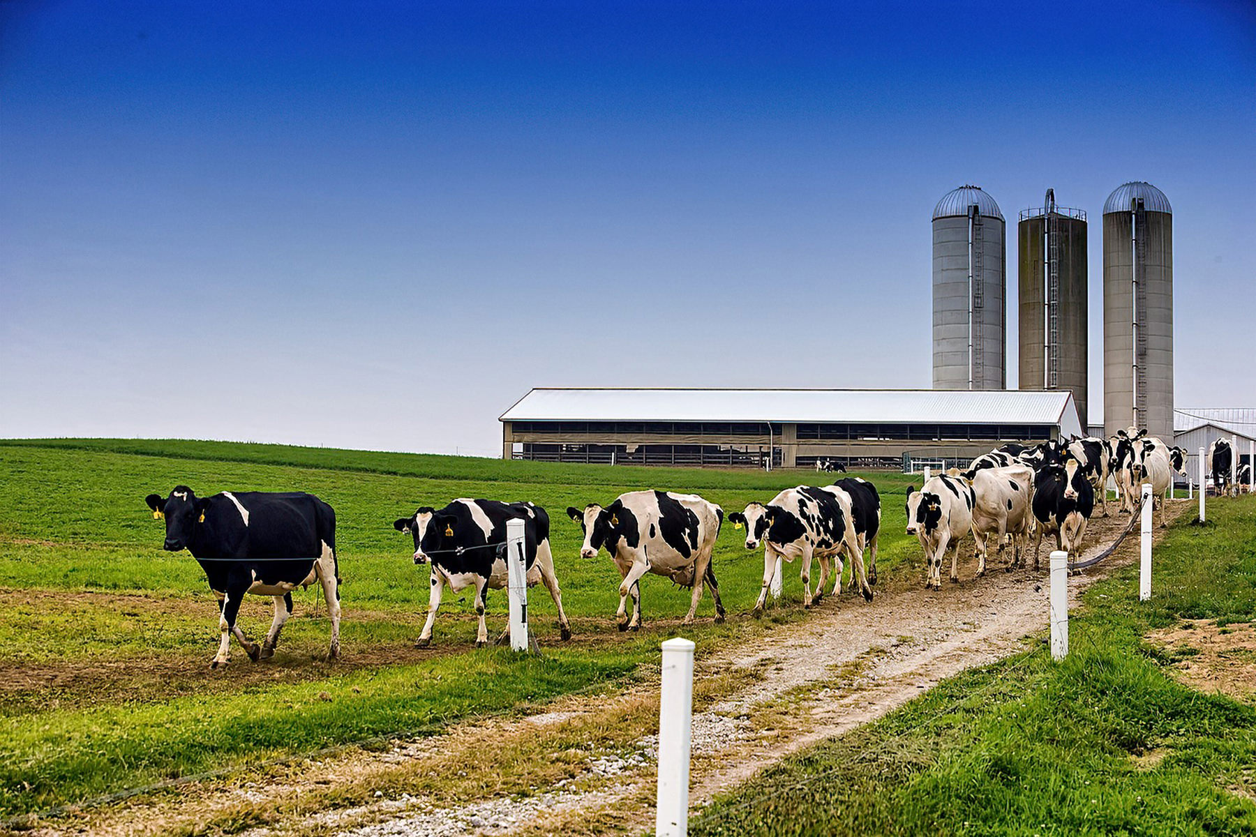 Backgrounds288