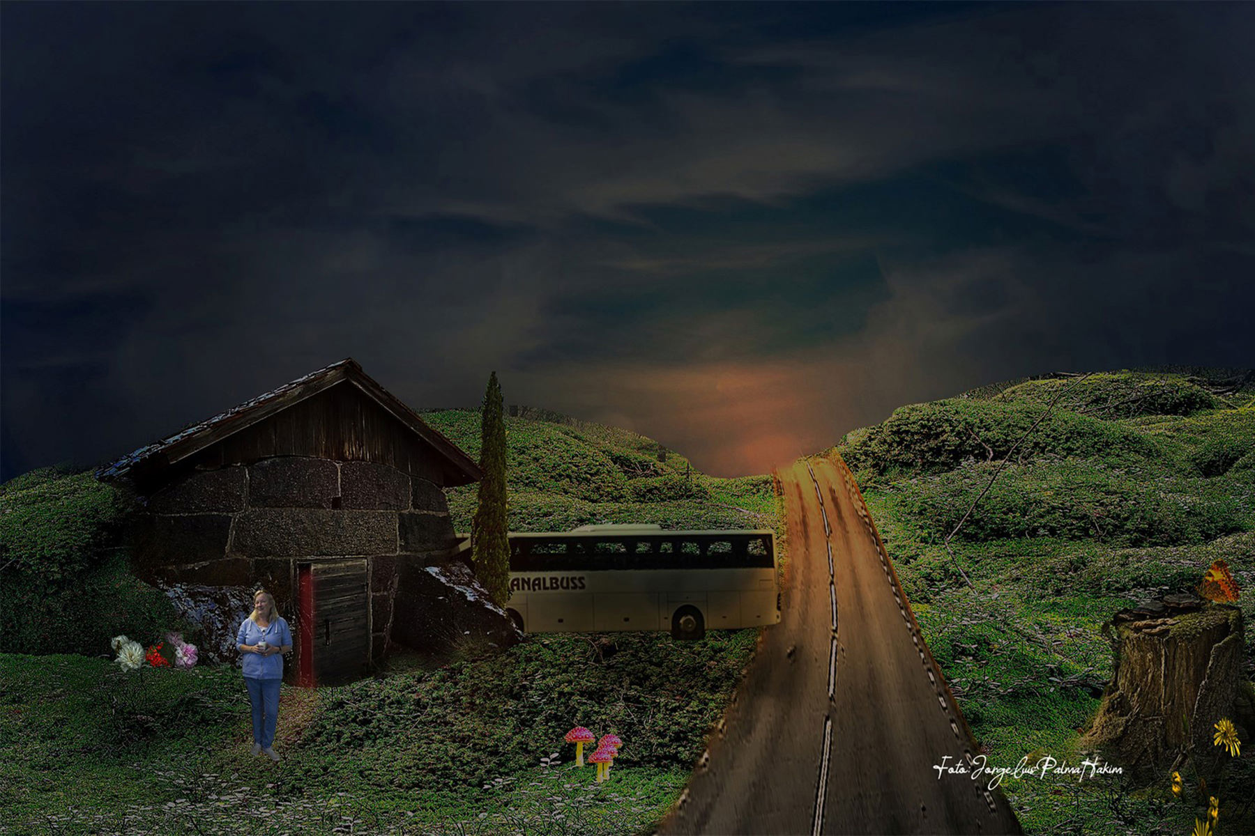 Backgrounds355