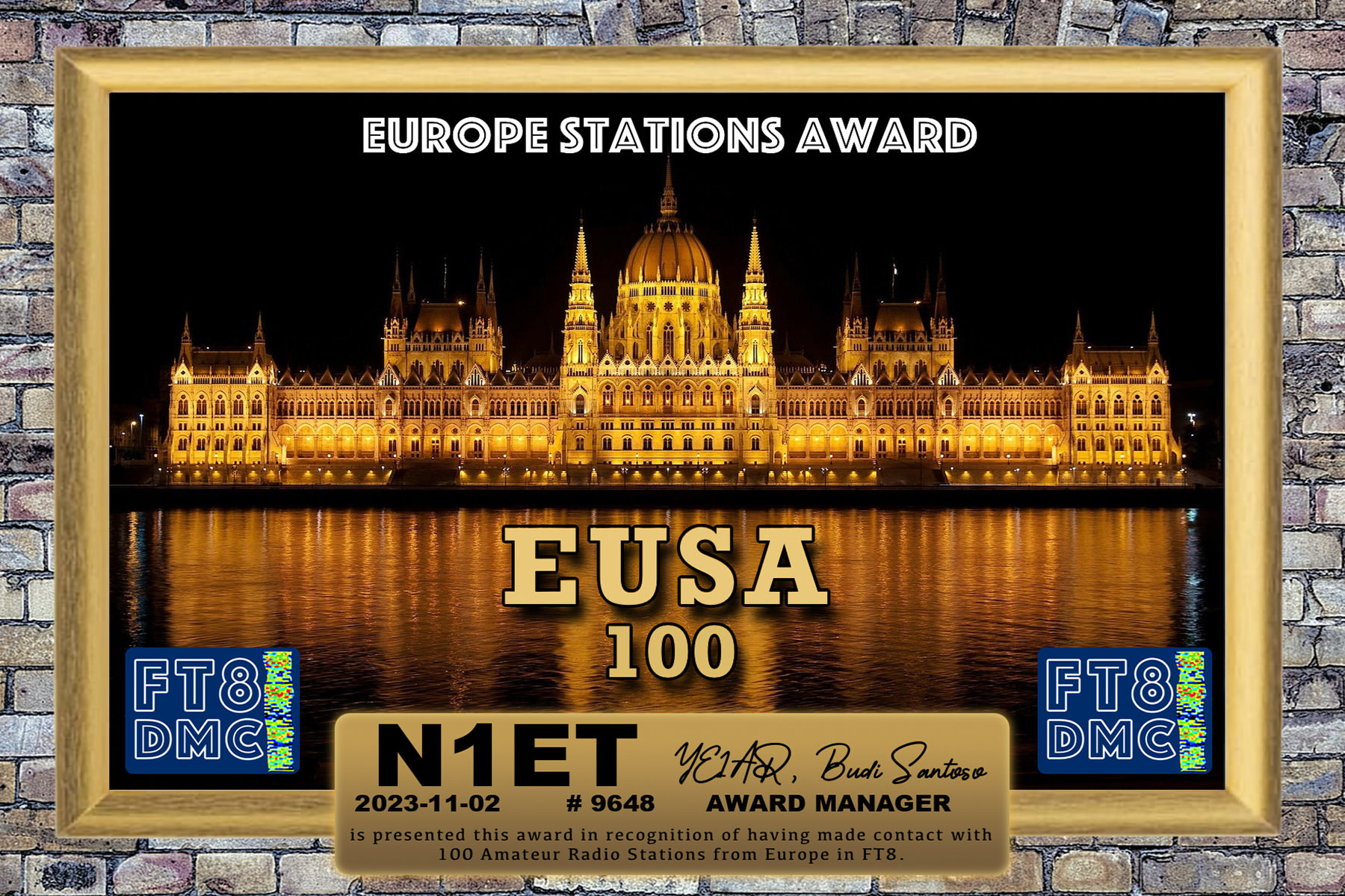 N1ET EUSA 100 FT8DMC