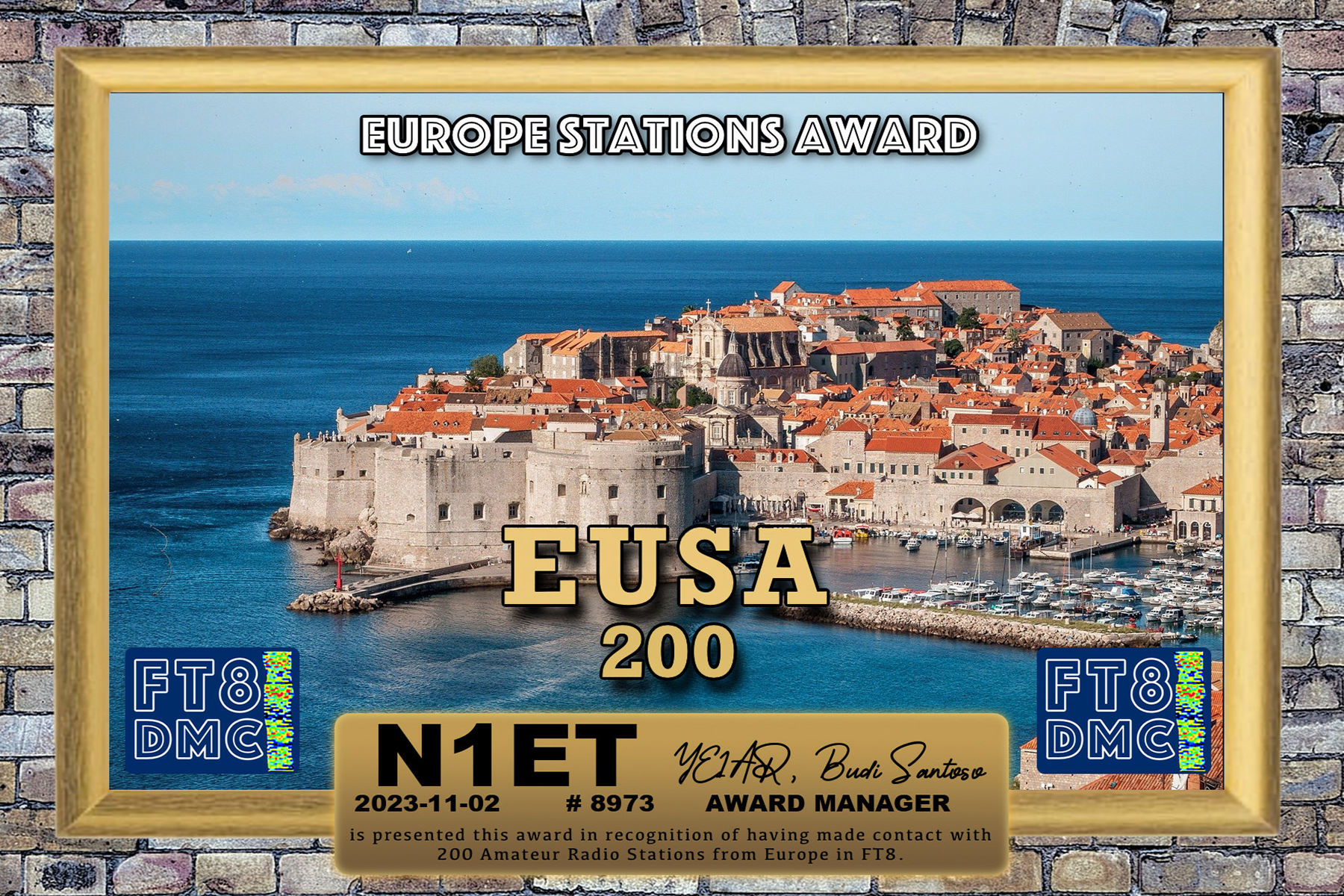 N1ET EUSA 200 FT8DMC