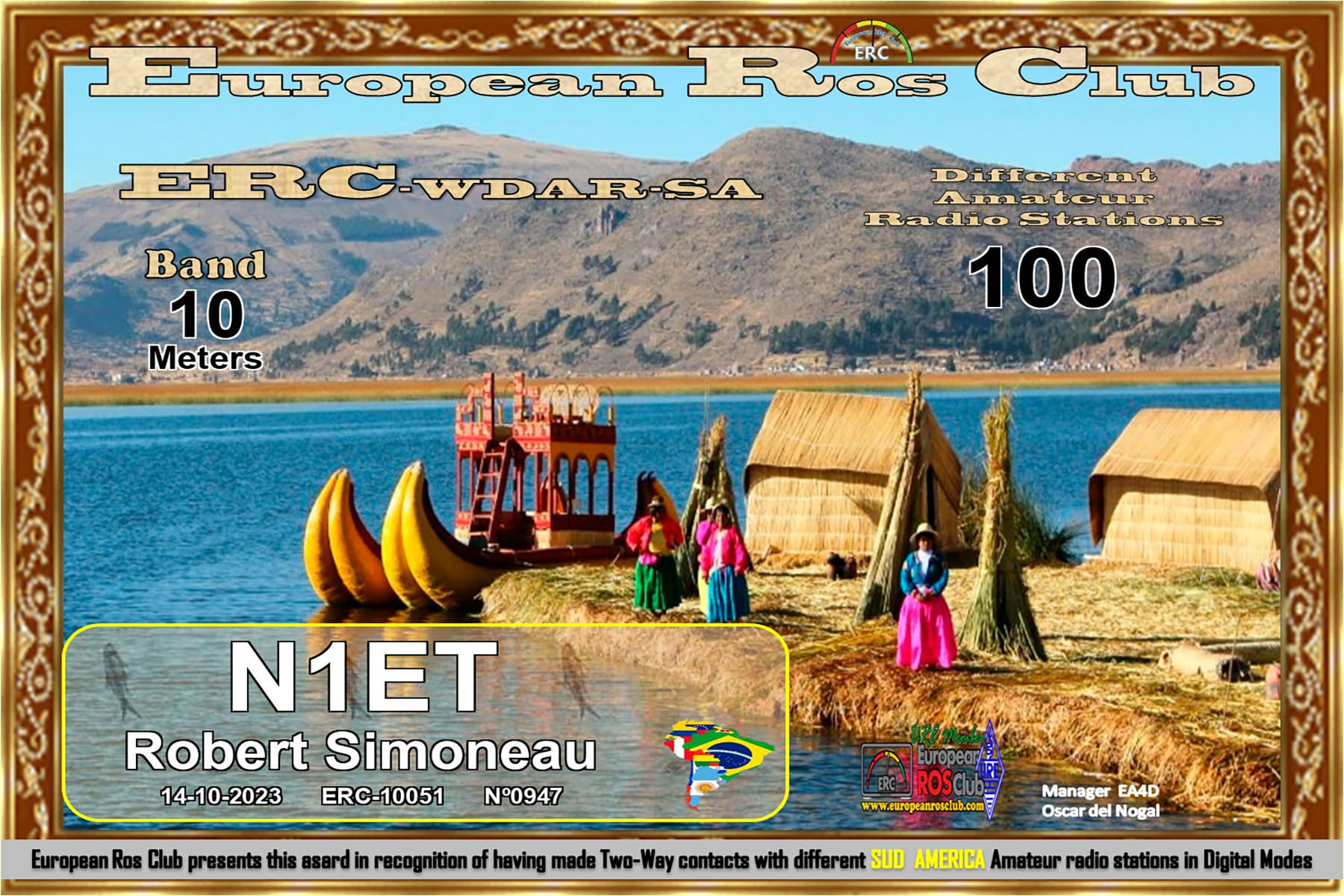 N1ET WDSA10 100 ERC