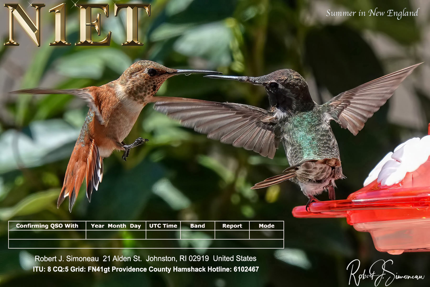 Hummingbirds