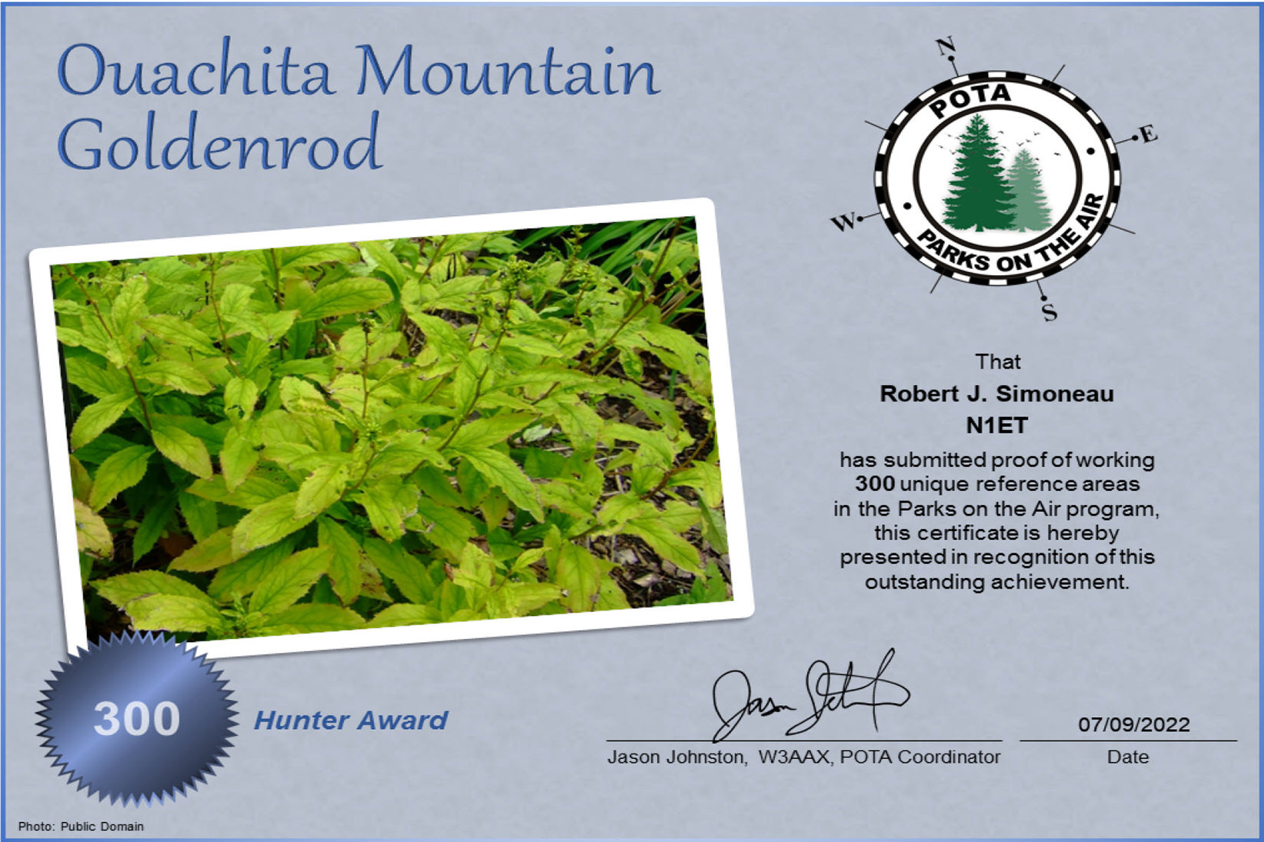 N1ET POTA Ouachita Mountain Goldenrod Hunter