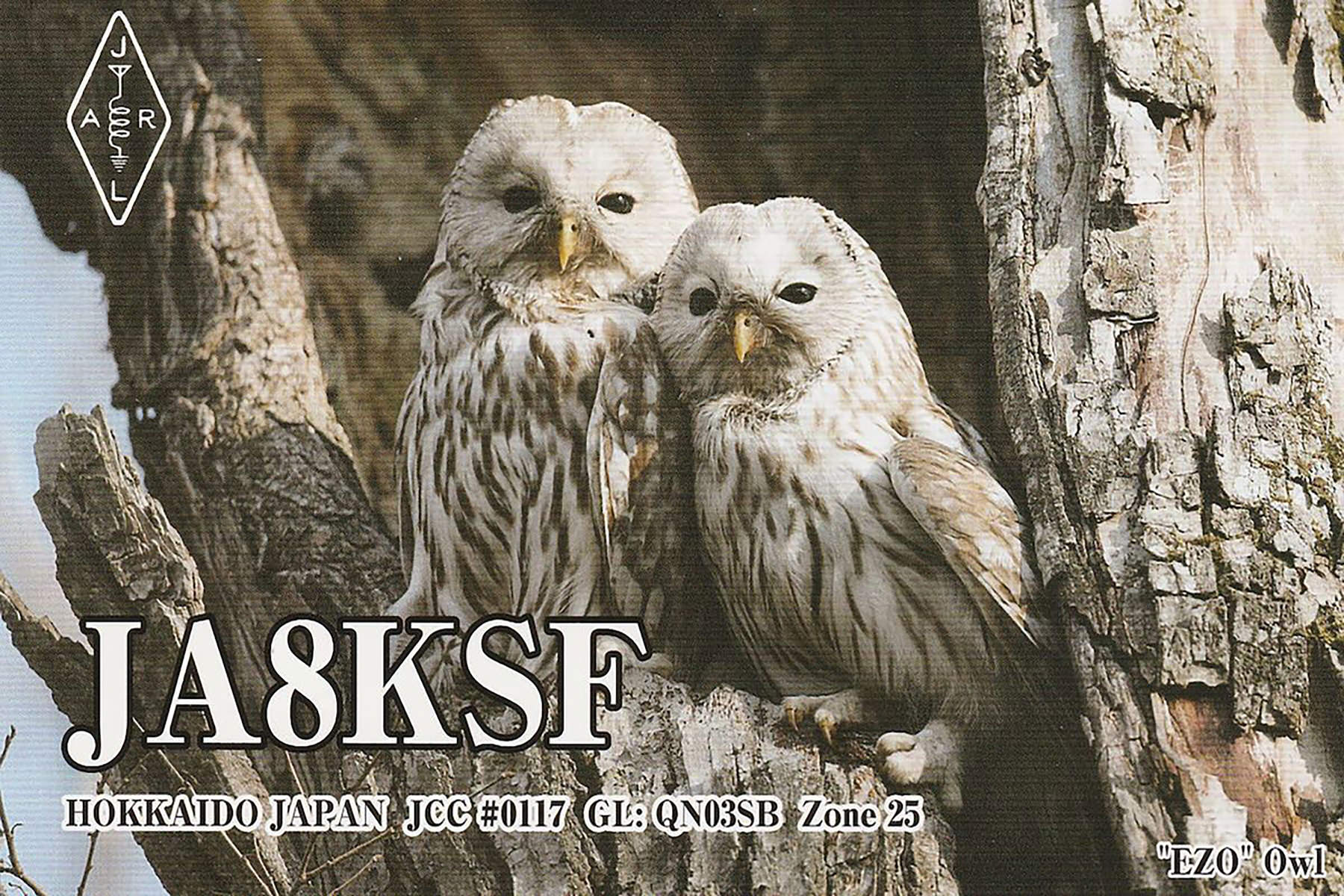 ja8ksf 20210919 2034 20m ft8 paper
