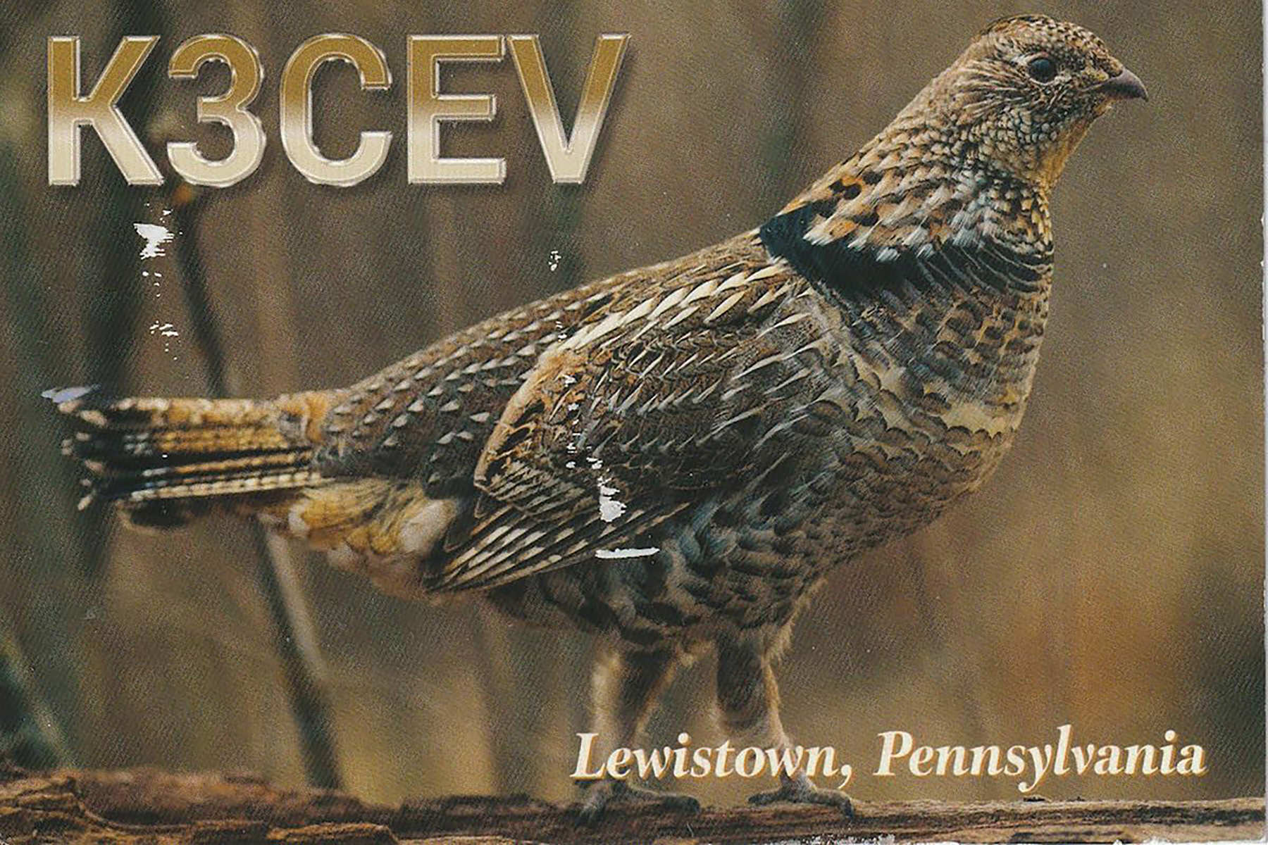 k3cev 20230808 1325 40m ft8 paper