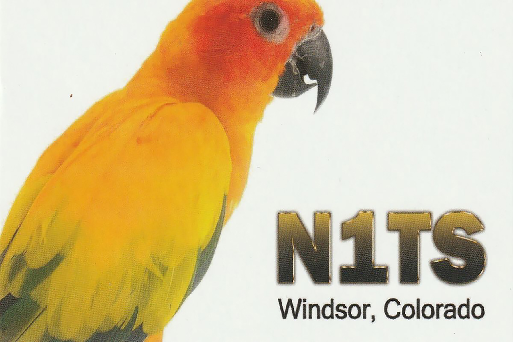 n1ts 20211118 0019 40m ft8 paper