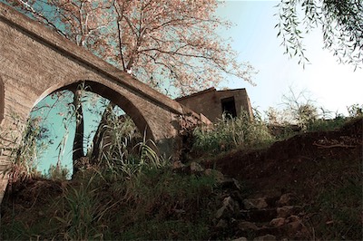 Backgrounds002