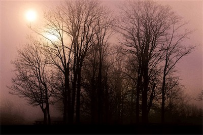 Backgrounds019